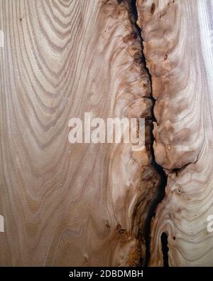 Artificial polished wooden surface with a big crack stylized as an ancient fossil Stock Photo