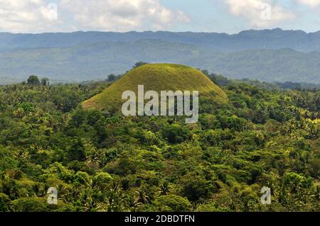 One of the Chocolate Hills on Bohol in the Philippines Stock Photo