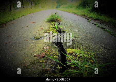 Wide crack in a road in summer Stock Photo