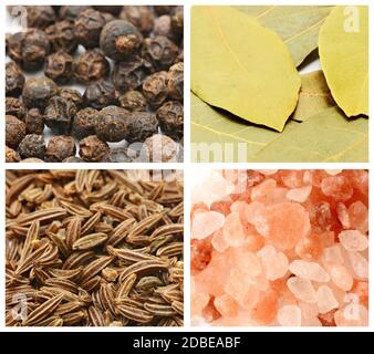 Collage of various herbs and spices seasonings in four squares with white frames. Stock Photo