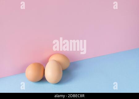 Minimalist image of three brown eggs on a light blue and pink background. Copy space available. Stock Photo