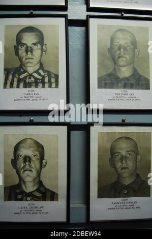 photographs of male prisoners in Auschwitz concentration camp museum Stock Photo