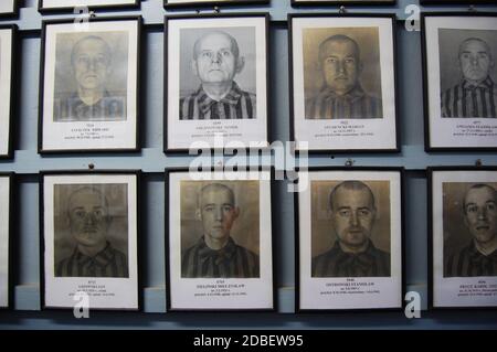 photographs of male prisoners in Auschwitz concentration camp museum Stock Photo