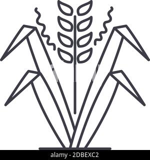Rice food icon, linear isolated illustration, thin line vector, web design sign, outline concept symbol with editable stroke on white background. Stock Vector
