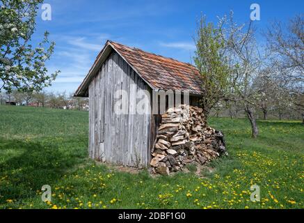 Small wooden hut on a meadow in springtime Stock Photo