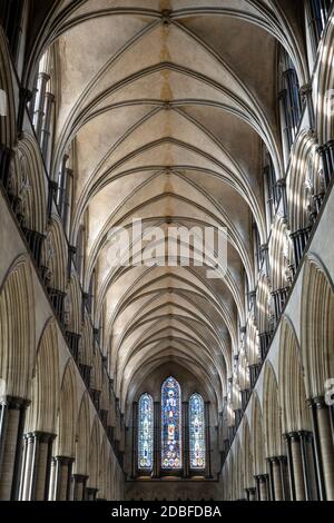 Ceiling of the nave of Salisbury cathedral, Salisbury, Wiltshire, England, United Kingdom, Europe Stock Photo