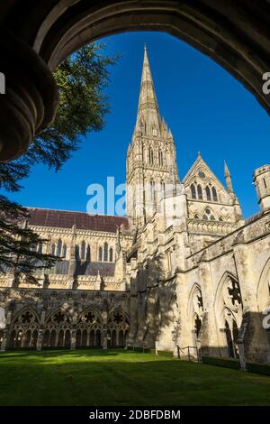 Cloister and spire of Salisbury cathedral, Salisbury, Wiltshire, England, United Kingdom, Europe Stock Photo