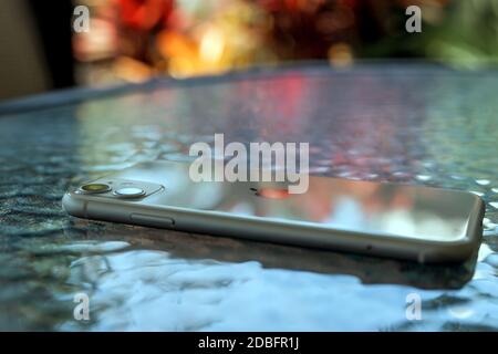 Cell phone monitor reflecting blue sky and colorful tropical foliage on glass table Stock Photo