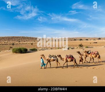 Rajasthan travel background - two Indian cameleers (camel drivers) with camels in dunes of Thar desert. Jaisalmer, Rajasthan, India Stock Photo