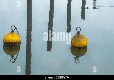 Yellow Mooring Buoys and Harbor Poles Reflecting on Calm Water Stock Photo