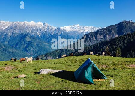 Tent in Himalayas mountains with flock of sheep grazing. Kullu Valley, Himachal Pradesh, India Stock Photo