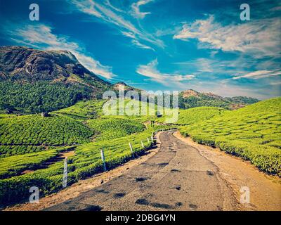 Travel Kerala India concept background - vintage retro effect filtered hipster style image of scenic road in green tea plantations, Munnar, Kerala sta Stock Photo