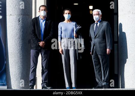 Madrid, Spain. 17th Nov, 2020. **NO SPAIN** Queen Letizia of Spain attends UNICEF meeting at CSIC on November 17, 2020 in Madrid, Spain. Credit: Jimmy Olsen/Media Punch/Alamy Live News Stock Photo