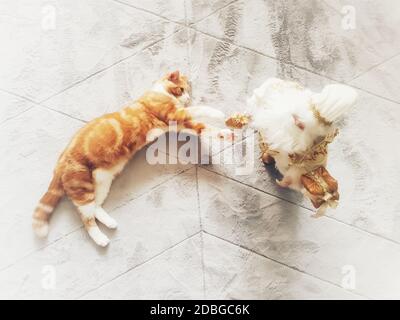 A young ginger male cat playing with Santa Claus on a fluffy light carpet in a festive image suitable for Christmas imagery. Stock Photo