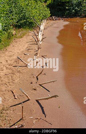 Dead Tree Buried on a Sandy Shore on Middlebrun Bay on Lake Superior in Sleeping Giant Provincial Park in Ontario, Canada