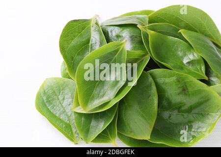 Persimmons green leaves isolated on white background Stock Photo