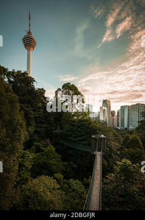 Kuala Lumpur Eco Forest Park with KL tower view Stock Photo