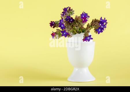 Small purple flowers in a white vase - an egg stand on a yellow background Stock Photo