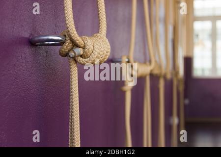 Calisthenics ropes tied up to silver rings on wall in yoga studio. Big ...