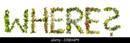 Flower, Branches And Blossom Letter Building English Word Where. White Isolated Background Stock Photo