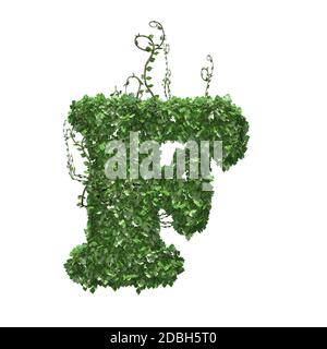 Letter F created of green ivy leaves - isolated on a white background Stock Photo