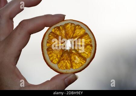 dried orange slice held between thumb and forefinger, backlit with sunshine Stock Photo