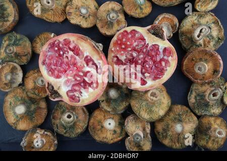 pomegranate and mushrooms as autumn food Stock Photo