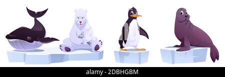 Cartoon wild animals on ice floes sea whale, white bear, penguin and seal. North Pole inhabitants in zoo park or outdoor area. Beasts in fauna isolated on white background, vector illustration, set Stock Vector