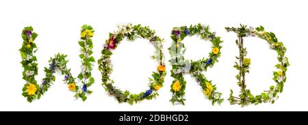 Flower, Branches And Blossom Letter Building English Word. White Isolated Background Stock Photo