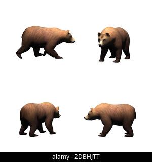 Set of brown bear - isolated on white background Stock Photo - Alamy