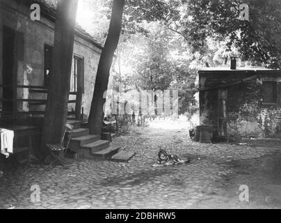 'A farm dog watches over the property  in front of an old farmhouse (built in 1826), the ''Heidehof'' at Muellerstrasse 15/16 in Berlin. Photo taken in 1933.' Stock Photo