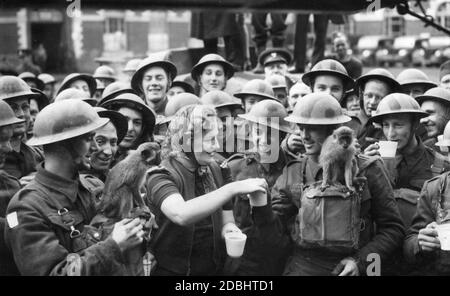 After a performance, the British singer Gracie Fields distributes tea to soldiers of the British Expeditionary Force who were stationed in France during the Second World War. Stock Photo