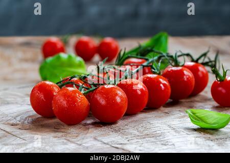 Baby tomatoes on vine on wooden table - closeup with selective focus Stock Photo