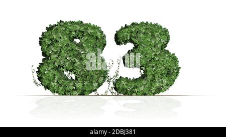 Number 83 created of green ivy leaves - isolated on a white background Stock Photo