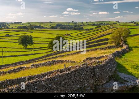 View of dry stone walls near Litton, Peak District National Park, Derbyshire, England, United Kingdom, Europe Stock Photo