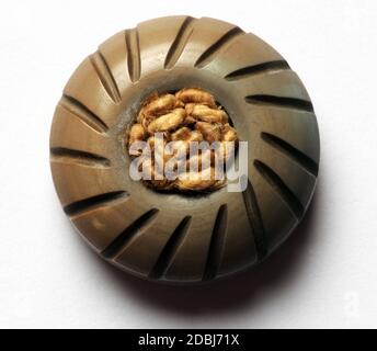 Close up on button isolated Stock Photo