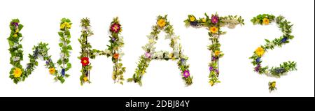 Flower, Branches And Blossom Letter Building English Word What. White Isolated Background Stock Photo