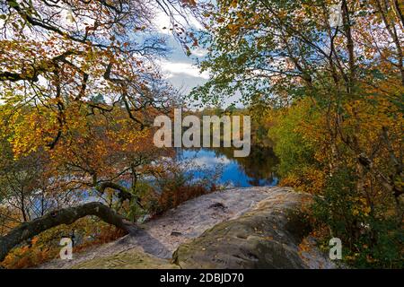 Autumn at Lake Wood, Uckfiled, East Sussex, England, Uk. Stock Photo