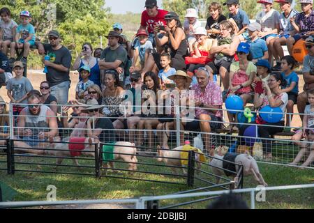 Darwin,NT,Australia-July 27,2018: People watching the pig races at the Royal Show in Darwin Stock Photo