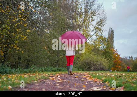Rear view of woman with umbrella brolly walking isolated in countryside in autumn with golden leaves on the ground. Lady in red trousers & wellies. Stock Photo