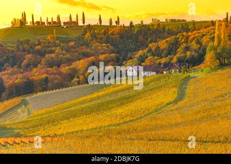 Autumn landscape with South Styria vineyards,known as Austrian Tuscany,a charming region on the border between Austria and Slovenia with rolling hills Stock Photo