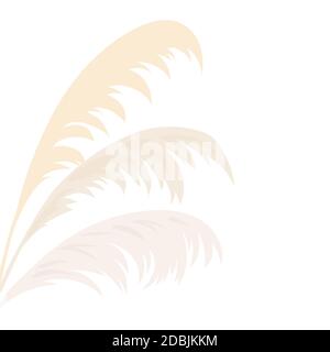 Pampas Grass Golden Vector Illustration Panicle Cortaderia Selloana South  America Floral Ornamental Grass Feathery Flower Head Plumes Used In Flower  Arrangements Ornamental Displays Decoration Stock Illustration - Download  Image Now - iStock