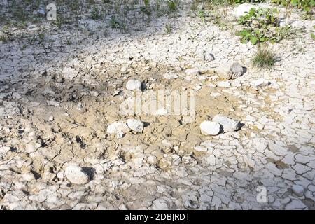 Drought. Contraction/Desiccation cracks in dry earth in the year 2019 Stock Photo