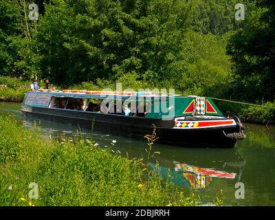Battery powered narrow boat Birdswood carrying tourists on the Cromford Canal in the Derbyshire Peak District England UK