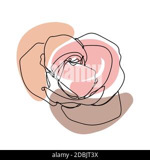 Flower in a linear style with colorful stains. Stock Vector