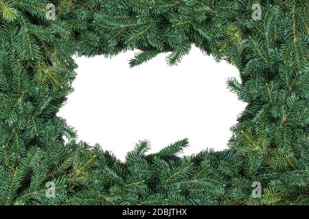 Christmas tree branches frame isolated on white background. Stock Photo