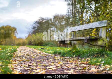 Low angle close up of isolated park bench in the countryside by deserted public footpath covered in fallen autumn leaves, UK, with copyspace. Stock Photo