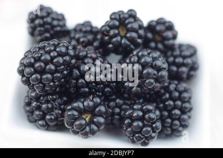 Background from fresh Blackberries, close up. Lot of ripe juicy wild fruit raw berries lying on the table. Top view, Flat lay Stock Photo