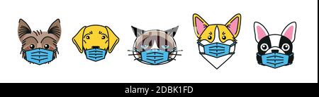 Bulldog, corgi, labrador, terrier and cat in mask Stock Vector