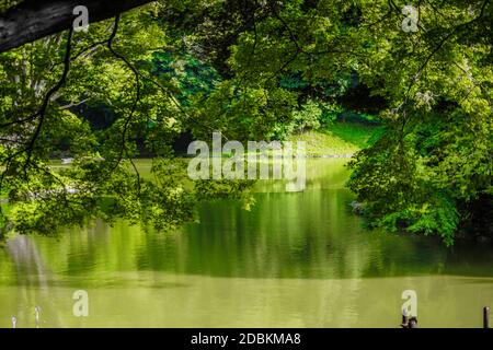 Koishikawa Korakuen of the fresh green. Shooting Location: Tokyo metropolitan area Stock Photo